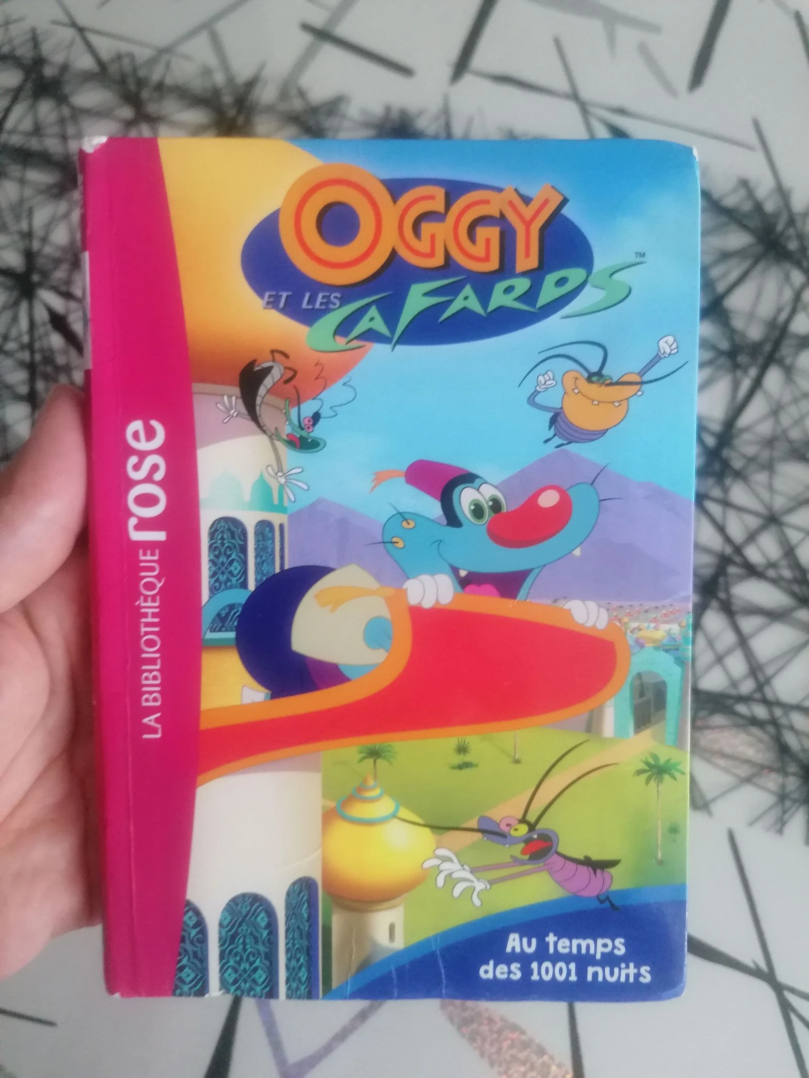 Livre Oggy et les cafards au temps des 1001 nuits 📘